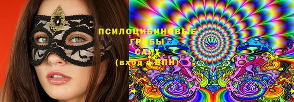 твердый Вязники