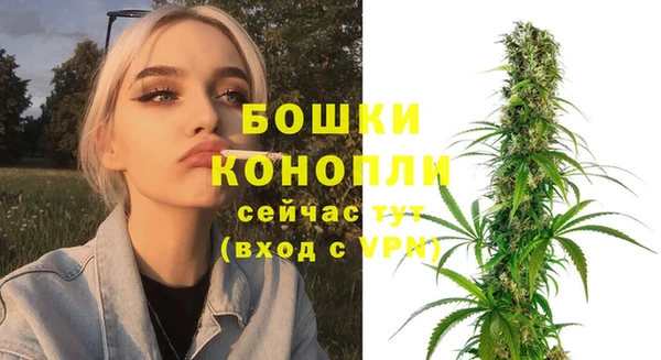 соль курить ск Новозыбков