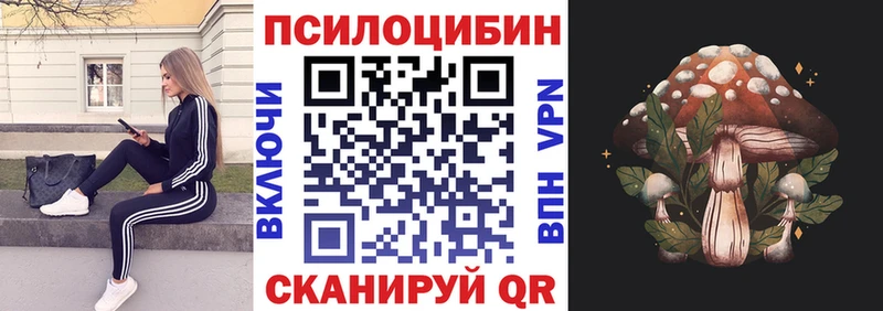 Псилоцибиновые грибы Cubensis Зима