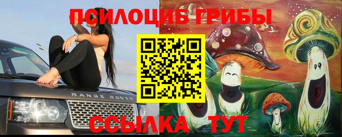 купить наркотик  Галлюциногенные грибы Psilocybe  Вход с VPN  Зима 