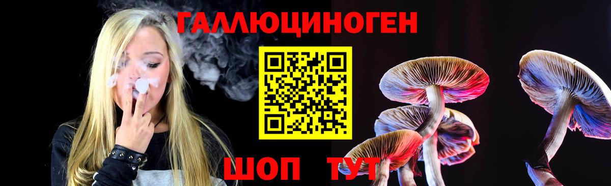 Галлюциногенные грибы Magic Shrooms Зима