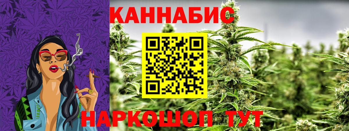 Марихуана планчик  Шишки марихуана планчик  Зима  Вход с VPN 